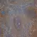 Anti Rat CD3 Antibody, clone 1F4 thumbnail image 7