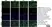 Anti Rat CD31 Antibody, clone TLD-3A12 thumbnail image 13