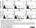 Anti Rat CD31 Antibody, clone TLD-3A12 thumbnail image 14
