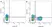 Anti Rat CD31 Antibody, clone TLD-3A12 thumbnail image 2