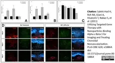 Anti Rat CD31 Antibody, clone TLD-3A12 gallery image 5