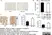 Anti Rat CD31 Antibody, clone TLD-3A12 thumbnail image 8