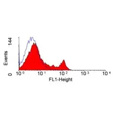 Anti Rat CD4 (Domain 1) Antibody, clone OX-38 gallery image 1
