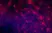 Anti Rat CD4 (Domain 1) Antibody, clone OX-38 thumbnail image 5