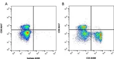 Anti Rat CD4 (Domain 1) Antibody, clone W3/25 gallery image 1
