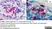 Anti Rat CD4 (Domain 1) Antibody, clone W3/25 thumbnail image 19