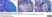 Anti Rat CD4 (Domain 1) Antibody, clone W3/25 thumbnail image 20