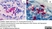 Anti Rat CD4 (Domain 1) Antibody, clone W3/25 thumbnail image 26