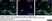 Anti Rat CD4 (Domain 1) Antibody, clone W3/25 thumbnail image 6