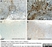 Anti Rat CD43 Antibody, clone W3/13 thumbnail image 10