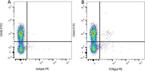 Anti Rat CD43 Antibody, clone W3/13 gallery image 3