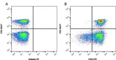 Anti Rat CD44 Antibody, clone OX-50 gallery image 1