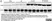 Anti Rat CD44 Antibody, clone OX-50 thumbnail image 5