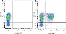 Anti Rat CD44 Antibody, clone OX-50 gallery image 6