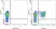 Anti Rat CD44 Antibody, clone OX-50 thumbnail image 6
