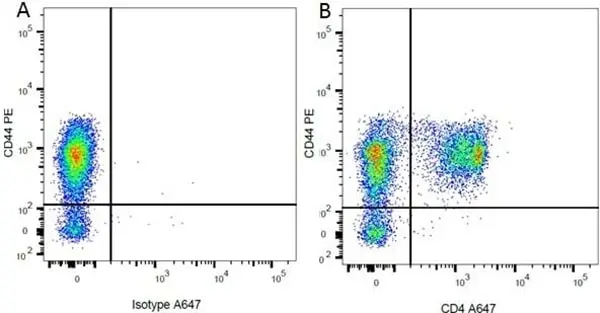 Anti Rat CD44 Antibody, clone OX-50 gallery image 6