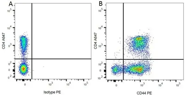 Anti Rat CD44 Antibody, clone OX-50 gallery image 7