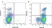 Anti Rat CD45 Antibody, clone OX-1 thumbnail image 1