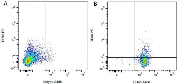 Anti Rat CD45 Antibody, clone OX-1 gallery image 2