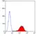 Anti Rat CD47 Antibody, clone OX-101 thumbnail image 2