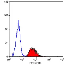 Anti Rat CD47 Antibody, clone OX-101 gallery image 3