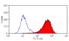 Anti Rat CD49f Antibody, clone Mab-5A gallery image 1