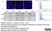 Anti Rat CD49f Antibody, clone Mab-5A thumbnail image 3
