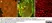 Anti Rat CD54 Antibody, clone 1A29 thumbnail image 4