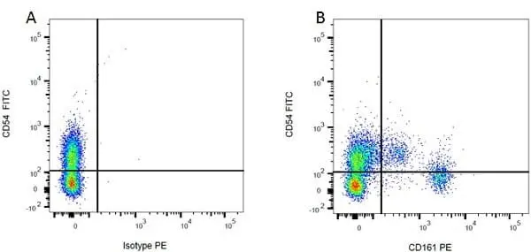 Anti Rat CD54 Antibody, clone 1A29 gallery image 9
