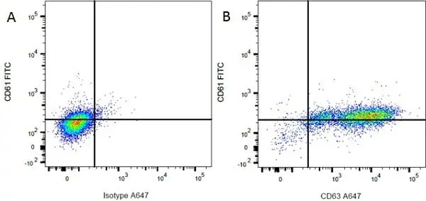Anti Rat CD61 Antibody, clone F11 gallery image 2