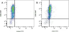 Anti Rat CD61 Antibody, clone F11 gallery image 3