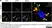 Anti Rat CD63 Antibody, clone AD1 thumbnail image 5