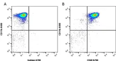 Anti Rat CD68 Antibody, clone ED1 gallery image 1