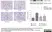 Anti Rat CD68 Antibody, clone ED1 thumbnail image 10