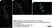 Anti Rat CD68 Antibody, clone ED1 thumbnail image 100