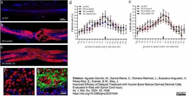 Anti Rat CD68 Antibody, clone ED1 gallery image 104