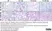 Anti Rat CD68 Antibody, clone ED1 thumbnail image 112