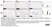 Anti Rat CD68 Antibody, clone ED1 thumbnail image 118