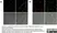 Anti Rat CD68 Antibody, clone ED1 thumbnail image 15