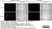 Anti Rat CD68 Antibody, clone ED1 thumbnail image 25
