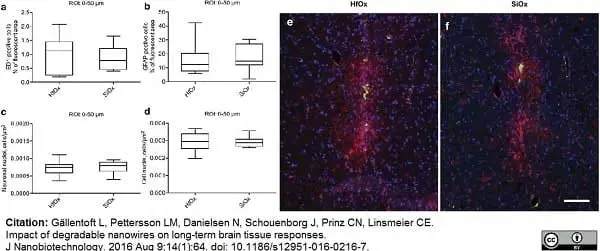 Anti Rat CD68 Antibody, clone ED1 gallery image 29