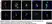 Anti Rat CD68 Antibody, clone ED1 thumbnail image 30