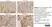 Anti Rat CD68 Antibody, clone ED1 thumbnail image 41