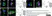 Anti Rat CD68 Antibody, clone ED1 thumbnail image 53