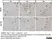 Anti Rat CD68 Antibody, clone ED1 thumbnail image 57