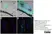 Anti Rat CD68 Antibody, clone ED1 thumbnail image 69