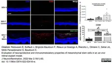 Anti Rat CD68 Antibody, clone ED1 gallery image 76