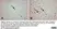 Anti Rat CD68 Antibody, clone ED1 thumbnail image 97