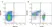 Anti Rat CD71 Antibody, clone OX-26 thumbnail image 1
