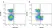 Anti Rat CD8 Alpha Antibody, clone OX-8 thumbnail image 1